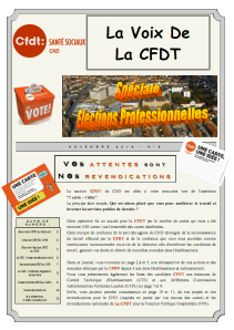06 Journal Elections professionnelles N°6 novembre 2014p1