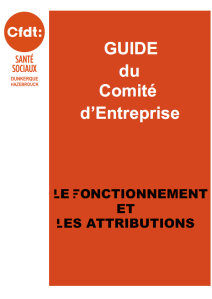 Guide du CE le fonctionnement et les attributions